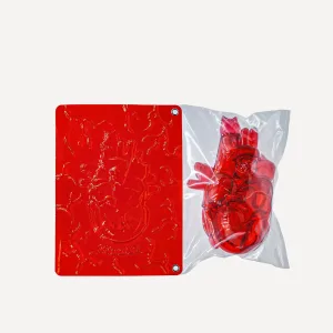 Cat Heart Sofubi-four distinct kitties merge to form a translucent human heart