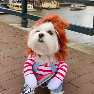 Pet Costume Running with Knife-One of the funniest gifts for dog lovers