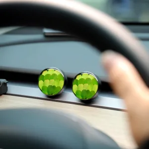 Real Plant Specimen Car Diffuser-Handcrafted with natural Boxwood leaves encased in clear resin, ensuring every piece features a unique shape and color.