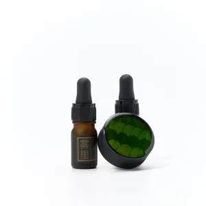 Real Plant Specimen Car Diffuser-Handcrafted with natural Boxwood leaves encased in clear resin, ensuring every piece features a unique shape and color.