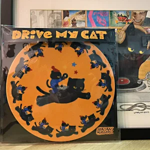 Retro DJ Cat Vinyl Slipmat-this feline spins hypnotically along with your favorite tracks