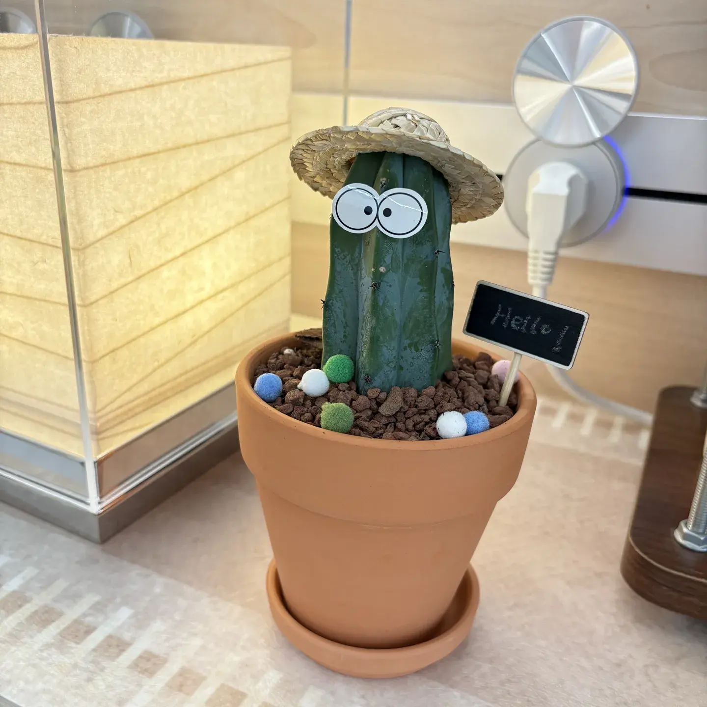 Friendly Cactus Desk Plant - Unique & Thoughtful Gifts for Meaningful  Moments | DumbDumbDelight