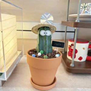 Friendly Cactus Desk Plant-Bring a smile and good fortune to any space with this whimsical cactus planter.
