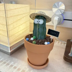Friendly Cactus Desk Plant-Bring a smile and good fortune to any space with this whimsical cactus planter.