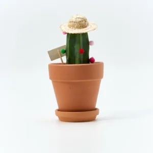 Friendly Cactus Desk Plant-Bring a smile and good fortune to any space with this whimsical cactus planter.