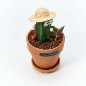 Friendly Cactus Desk Plant-Bring a smile and good fortune to any space with this whimsical cactus planter.