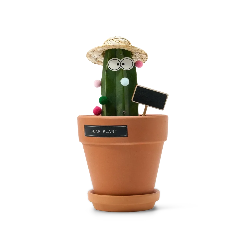 Friendly Cactus Desk Plant-Bring a smile and good fortune to any space with this whimsical cactus planter.