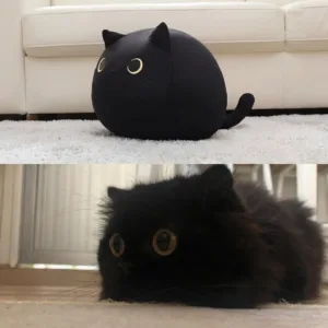 Round Cat Pillow-A perfectly spherical, ultra-squishy black cat designed to absorb your stress.